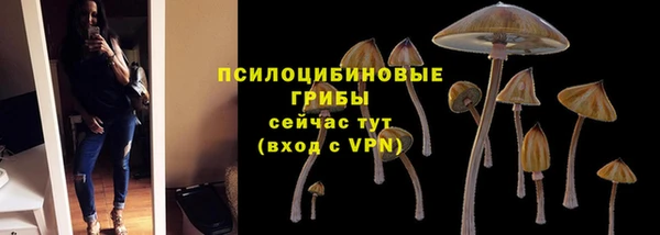 синтетический гашиш Балахна