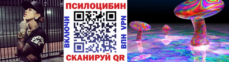 Купить закладки  Болохово  Галлюциногенные грибы Psilocybine cubensis 